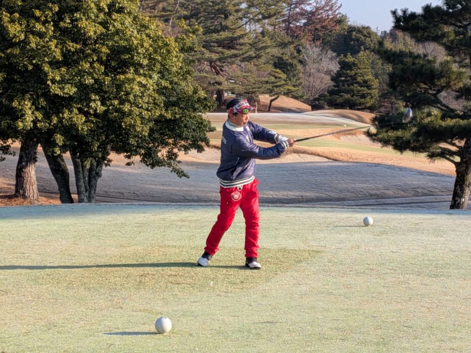 PXL_20260211_231510933.MP