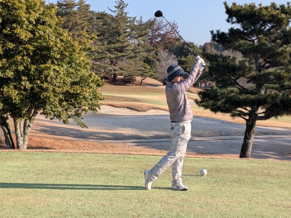 PXL_20260211_233048072.MP