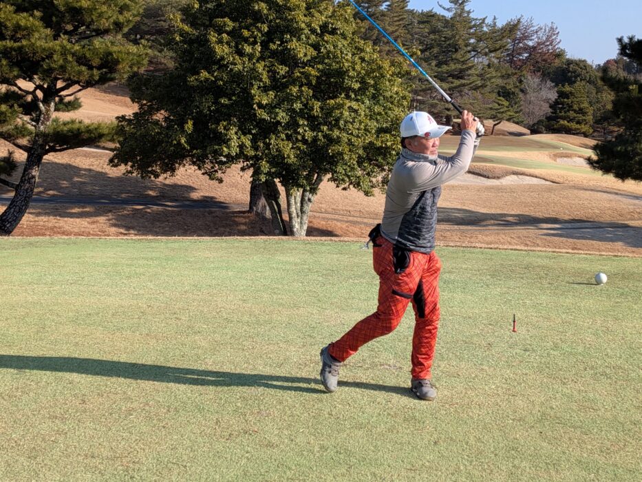 PXL_20260211_235530751.MP