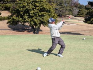 PXL_20260212_022829993.MP