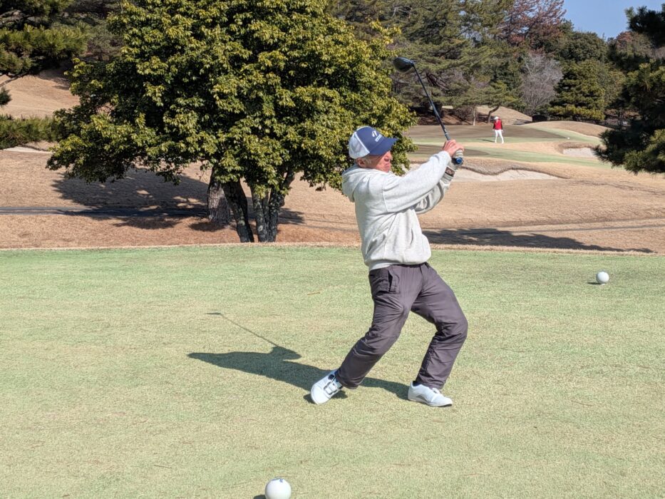 PXL_20260212_022829993.MP