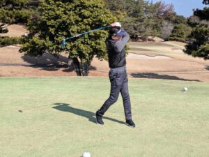 PXL_20260212_022907509.MP