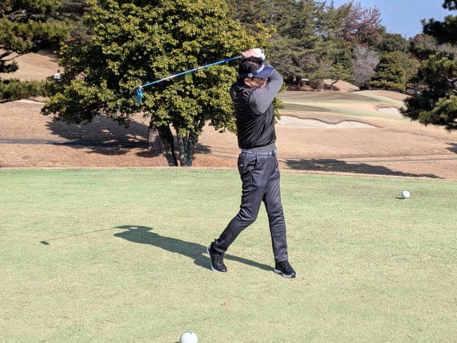 PXL_20260212_022907509.MP