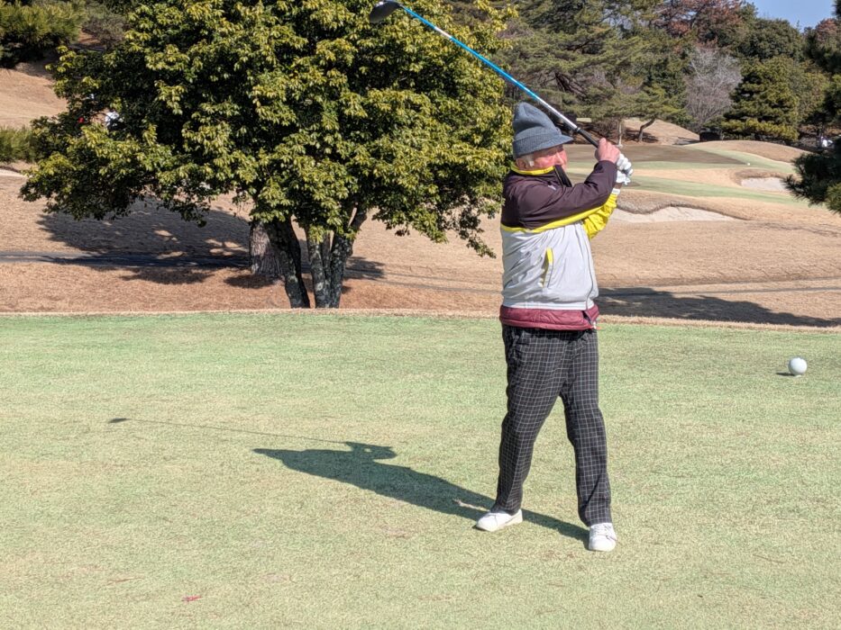 PXL_20260212_023016812.MP