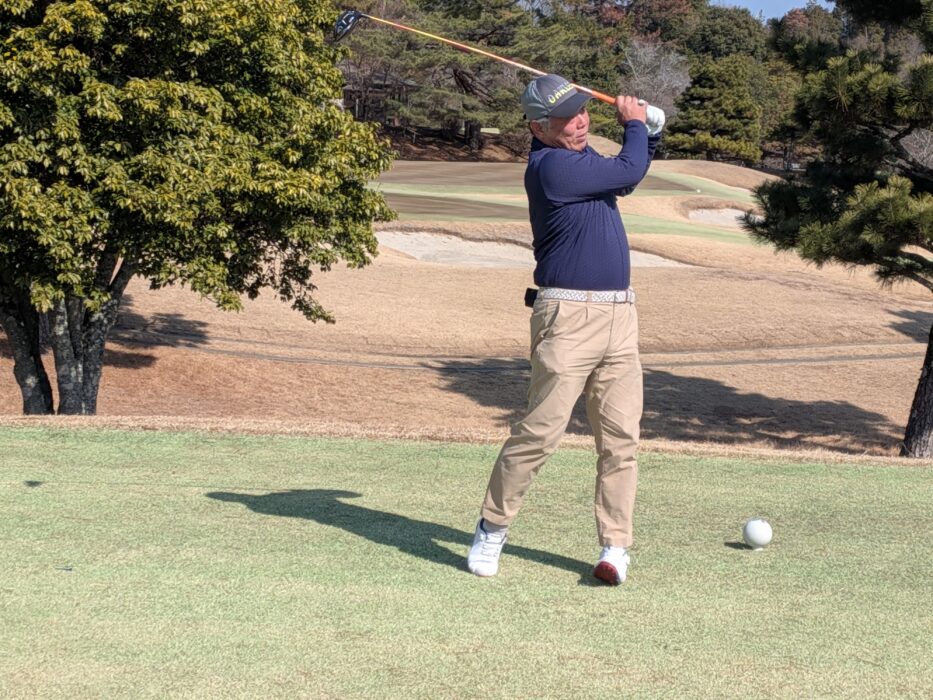 PXL_20260212_023650837.MP