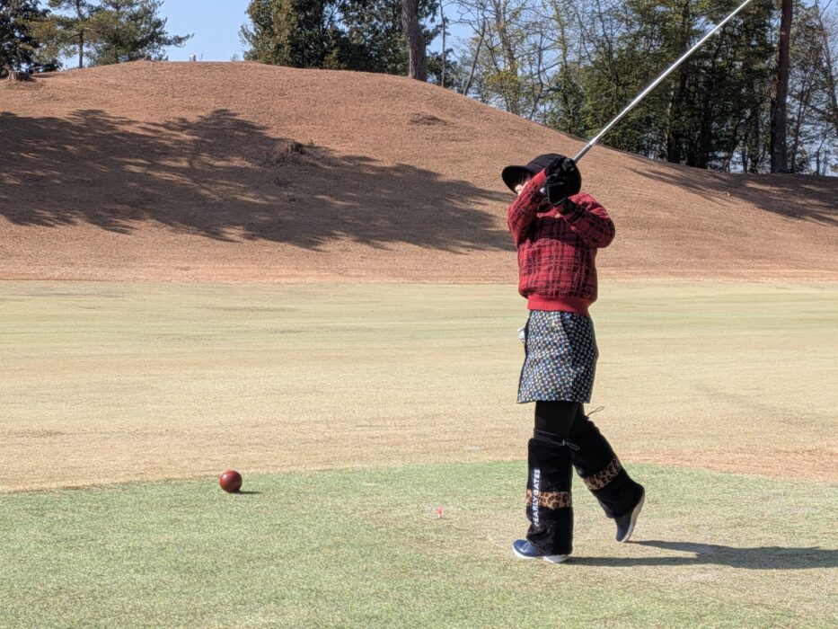 PXL_20260212_023856978.MP