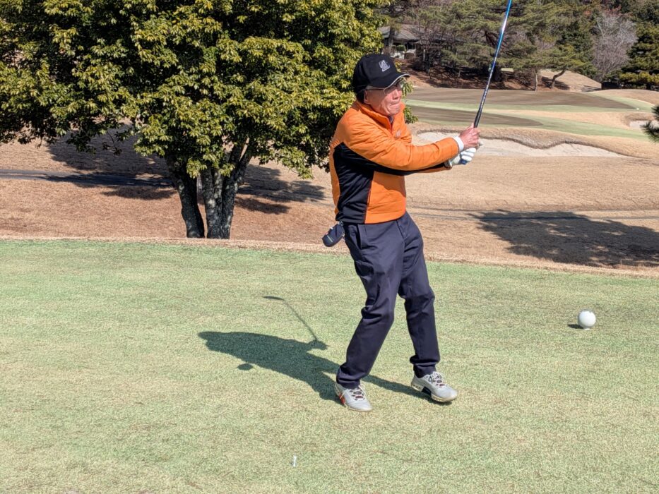 PXL_20260212_025122131.MP